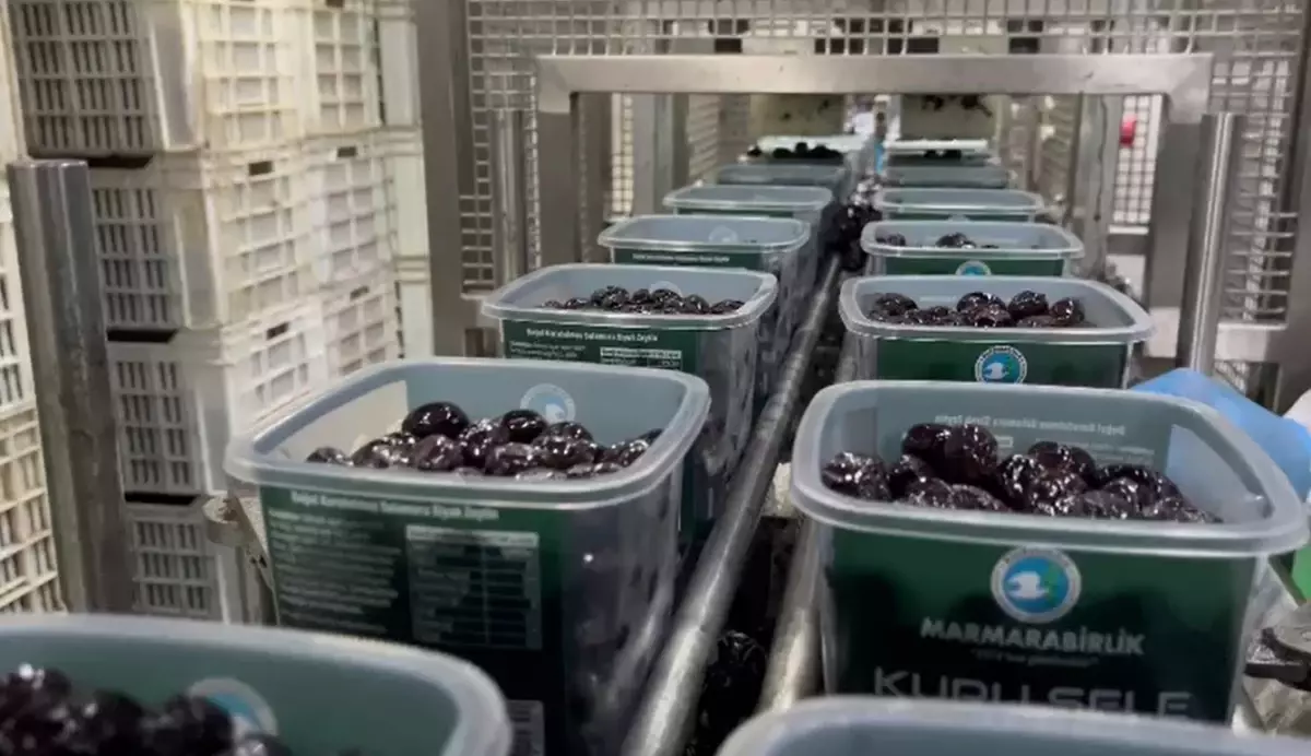 TSK\'ya Zeytin Protokolü