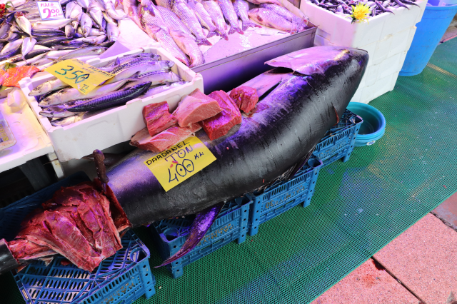 280 kiloluk orkinos vatandaşları hayrete düşürüyor 280 kiloluk orkinos vatandaşları hayrete düşürüyor