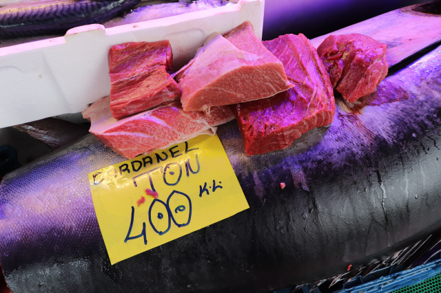 280 kiloluk orkinos vatandaşları hayrete düşürüyor 280 kiloluk orkinos vatandaşları hayrete düşürüyor