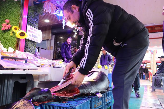 280 kiloluk orkinos vatandaşları hayrete düşürüyor 280 kiloluk orkinos vatandaşları hayrete düşürüyor