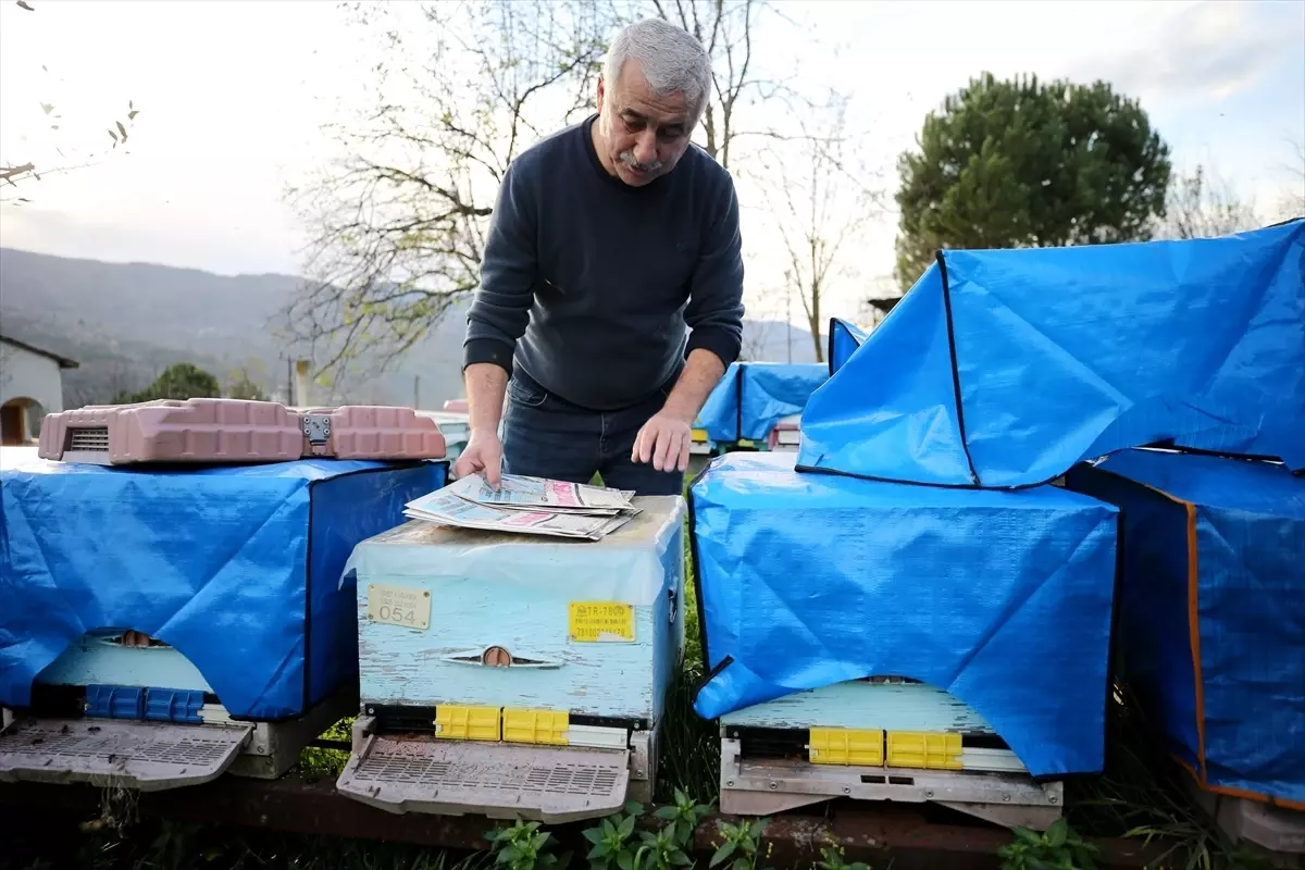 Yenice Ihlamur Balı AB Tescili Aldı