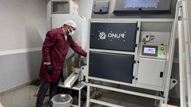 Alaplı'da fındık kavurma tesisleri taleplere yetişemiyor Alaplı'da fındık kavurma tesisleri taleplere yetişemiyor