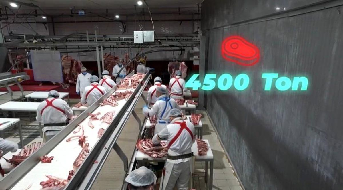 Elazığ\'a Tarımsal Destek: 4.500 Ton Kırmızı Et Üretimi