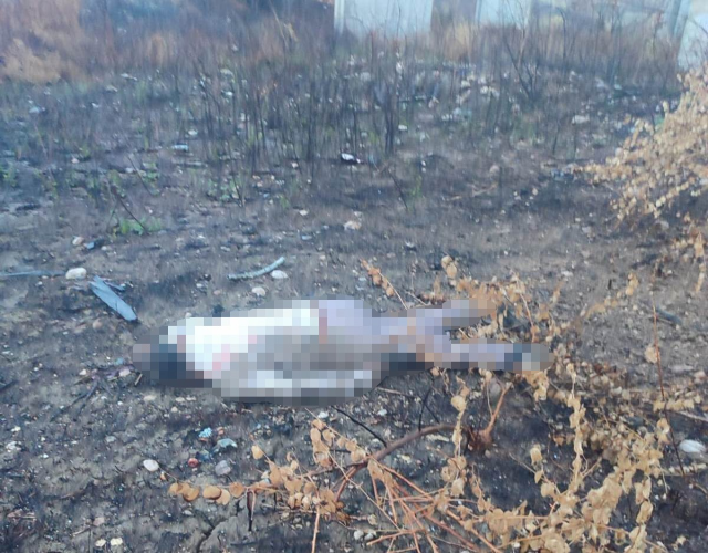 Mersin'de kaza yapan araç otoyolda, sürücüsü 30 metrelik köprünün altında ölü bulundu Mersin'de kaza yapan araç otoyolda, sürücüsü 30 metrelik köprünün altında ölü bulundu