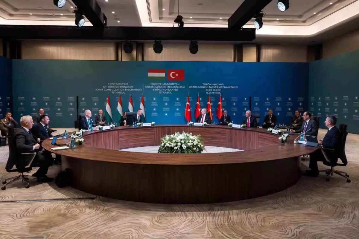 Türkiye-Macaristan Toplantısı İstanbul\'da