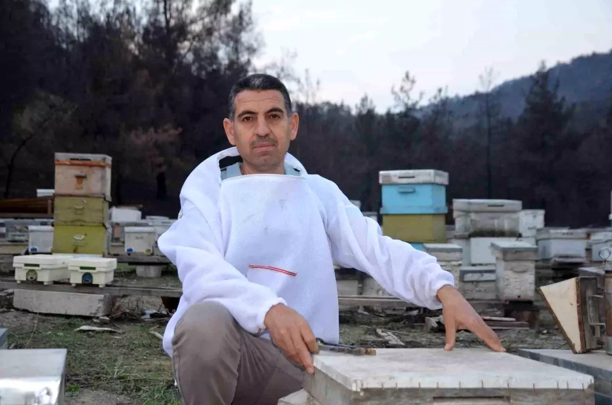 Bilecik\'te Hobi Olarak Başladı, Türkiye\'ye Ana Arı Gönderiyor