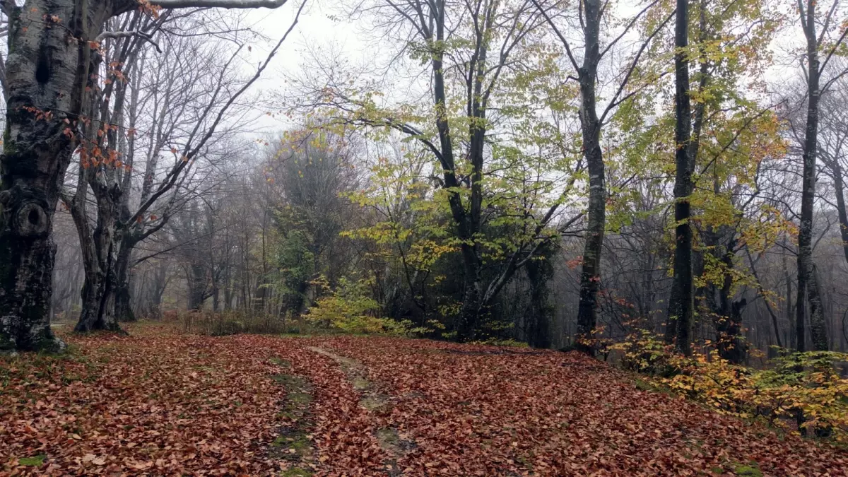 Saray\'ın Doğal Güzellikleri Doğa Tutkunlarını Ağırlıyor