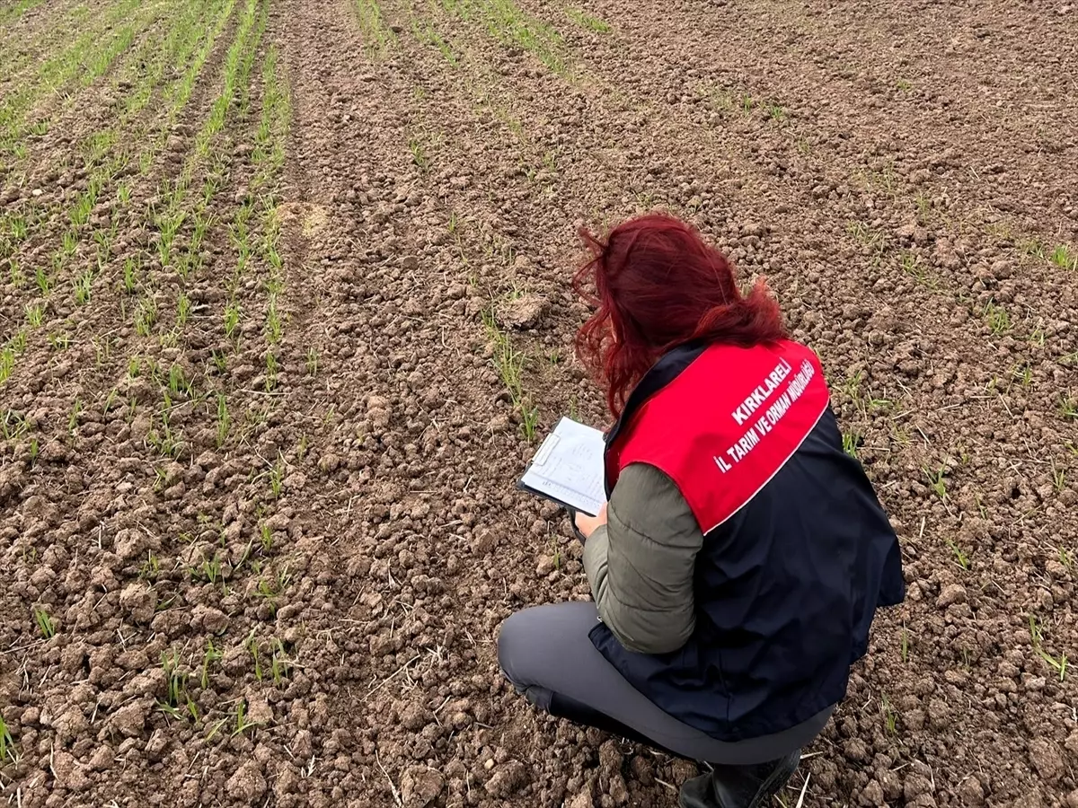 Kırklareli\'nden kısa kısa