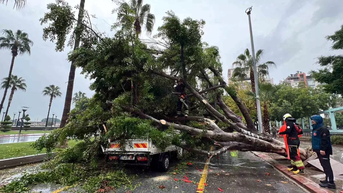 Mersin\'de Yağmur Ağaç Devirdi: 3 Araç Hasar Gördü