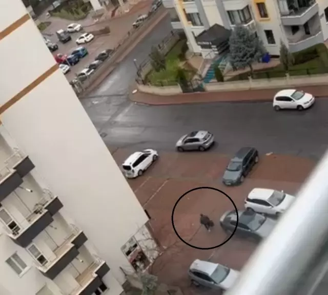 Apartman görevlisinin eşini öldüren emekli başçavuşun korku filmlerini andıran görüntüsü Apartman görevlisinin eşini öldüren emekli başçavuşun korku filmlerini andıran görüntüsü