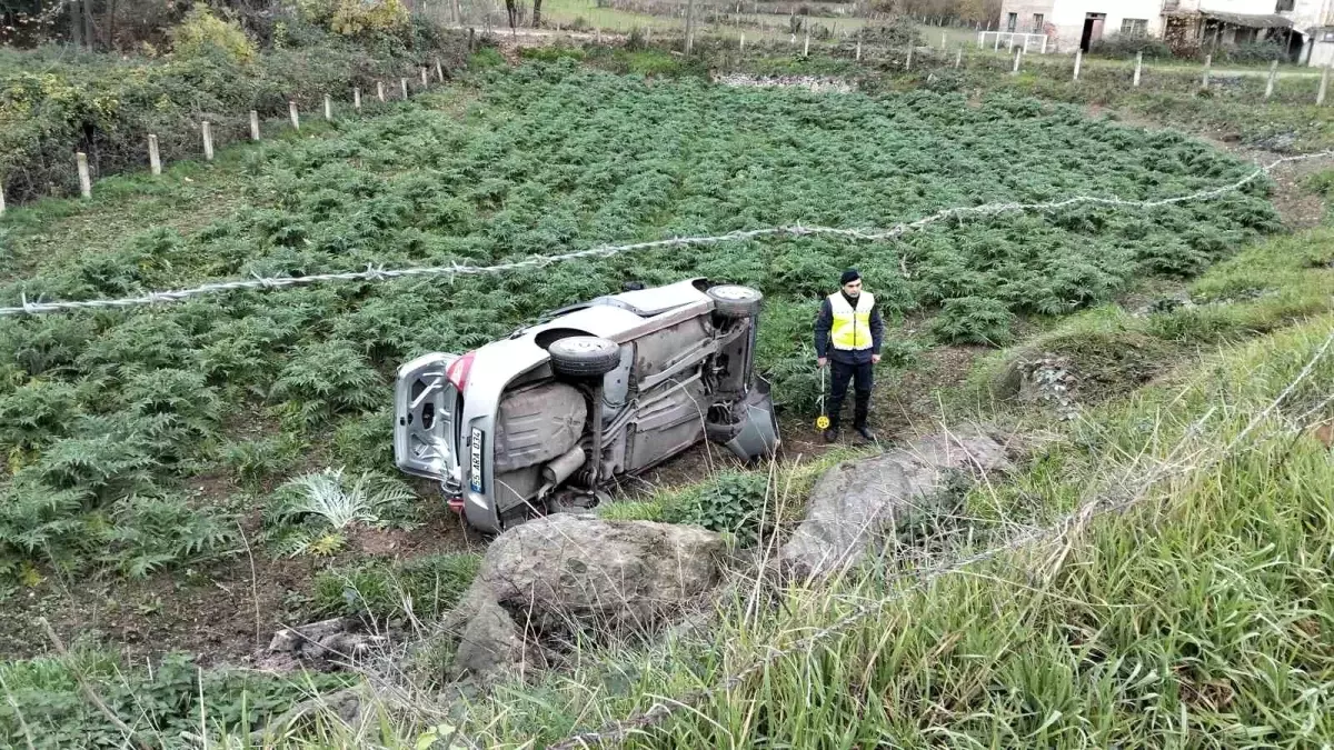 Bafra\'da Otomobil Tarlaya Devrildi, Sürücü Kurtarıldı