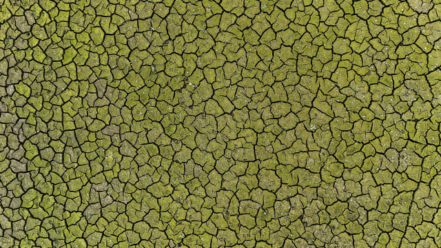 Bakan Yumaklı'dan endişelendiren sözler: İki büyük tehlike bizi bekliyor Bakan Yumaklı'dan endişelendiren sözler: İki büyük tehlike bizi bekliyor