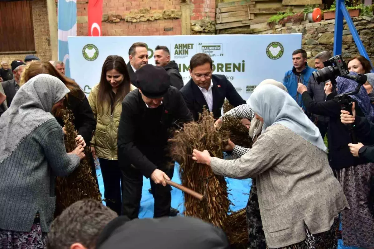 Balıkesir\'de susam üreticisine büyük destek: Alım fiyatı 155 TL\'ye yükseldi