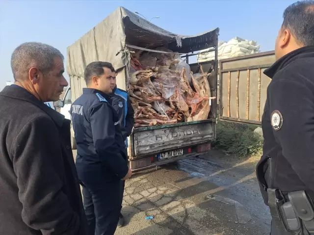 Gaziantep'te 1 ton 900 kilogram bozulmuş et imha edildi