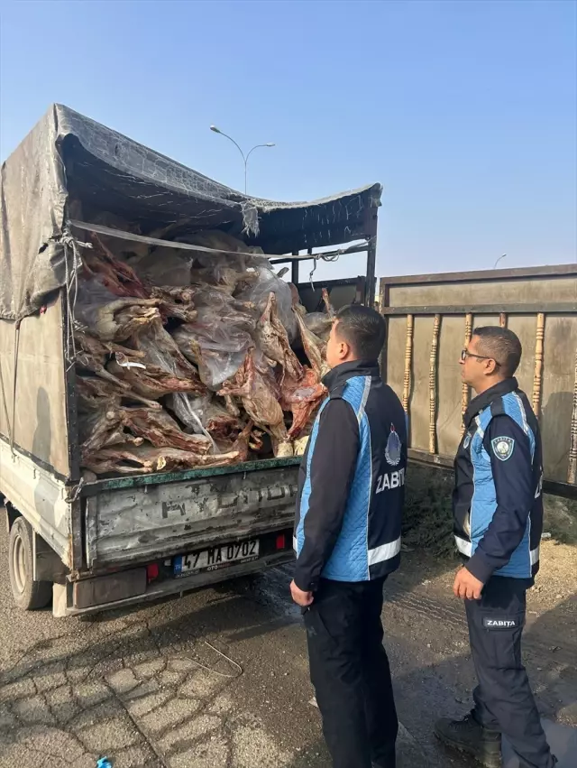 Gaziantep'te 1 ton 900 kilogram bozulmuş et imha edildi