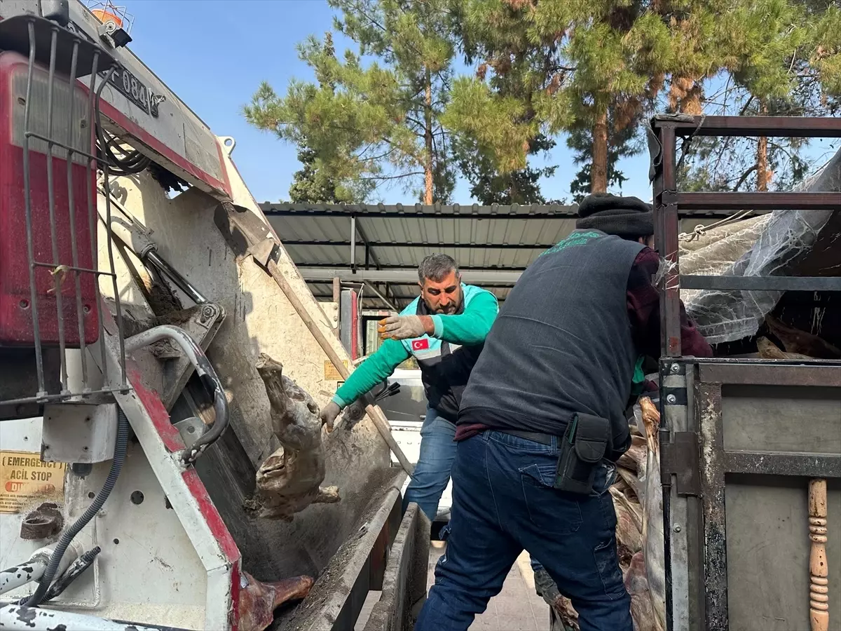 Tamı tamına 1 ton 900 kilo! Yakalanmasalar hepsini vatandaşa yedireceklerdi