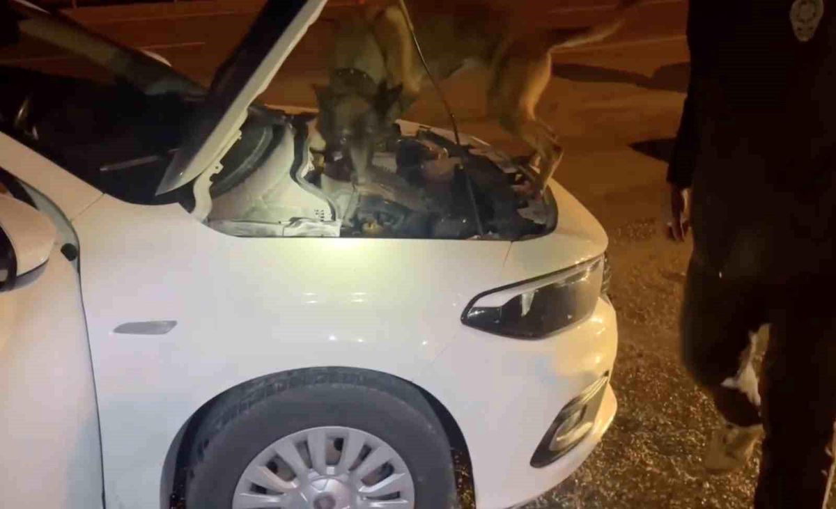 Kastamonu\'da Uyuşturucu Operasyonu: 5 Tutuklama