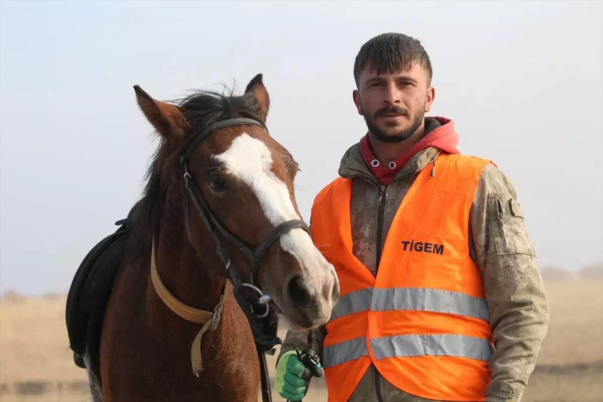 Atlı Çobanlar ve Yılkı Atları