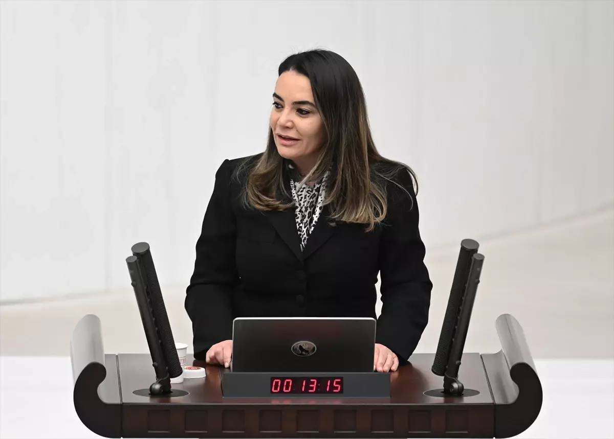 TBMM\'de Bütçe Görüşmeleri: Emekliler ve Eğitim Sorunları