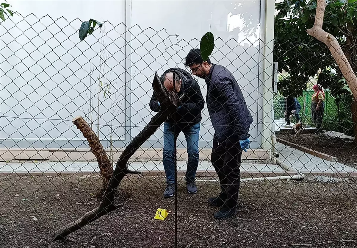 Alanya\'da Bıçaklı Kavga: Bir Yaralı
