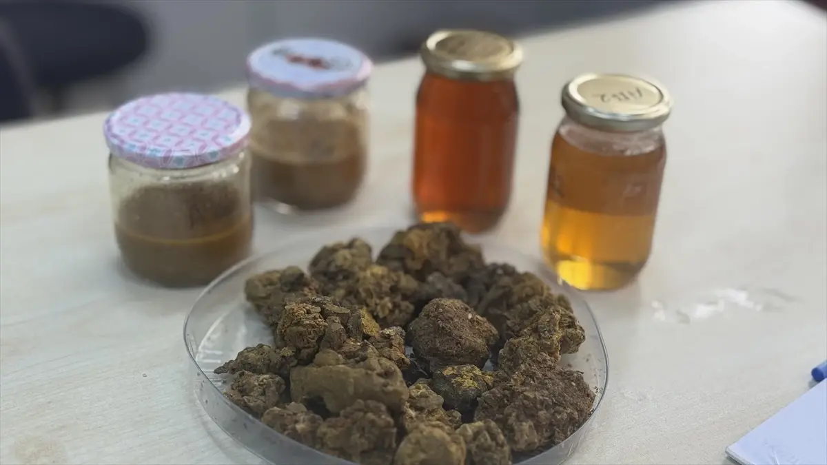 KTÜ\'de Arı Ürünleri Araştırma Merkezi Açıldı