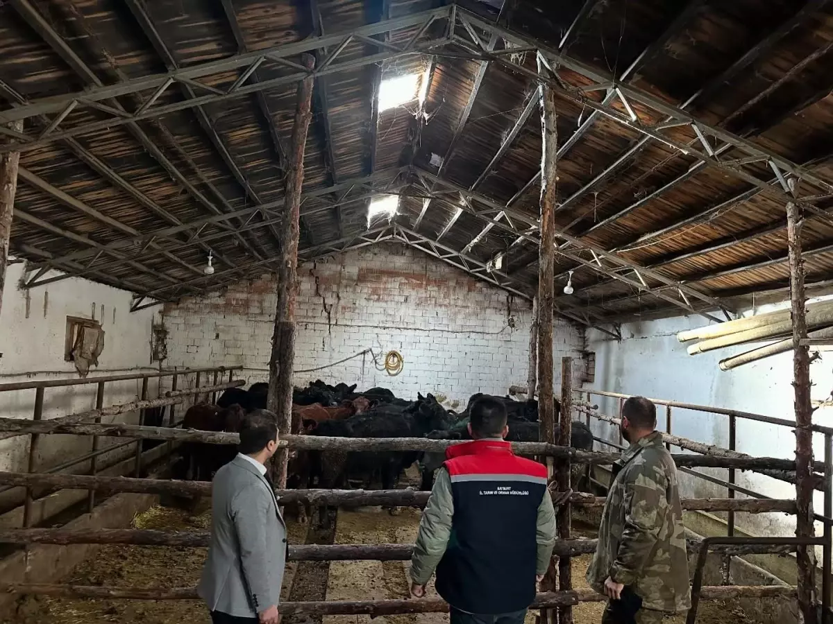 Bayburt\'ta Hayvancılığa Destek Projesi Başladı