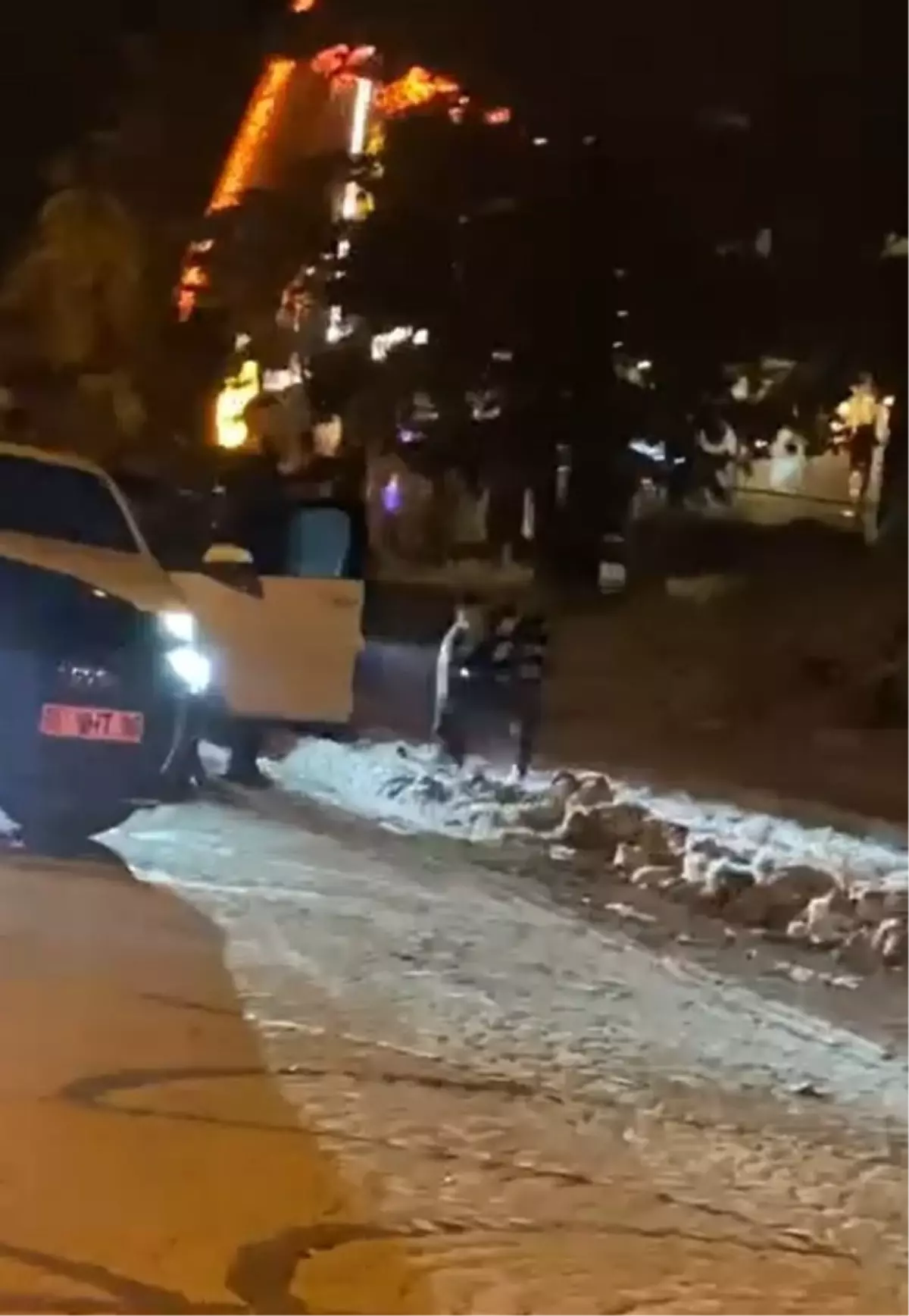 Bursa\'da Ayılara Kar Topu Atıldı