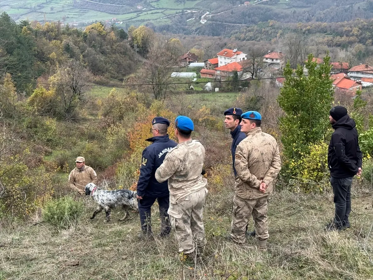 Kaybolan Yaşlı Kadın Ölü Bulundu