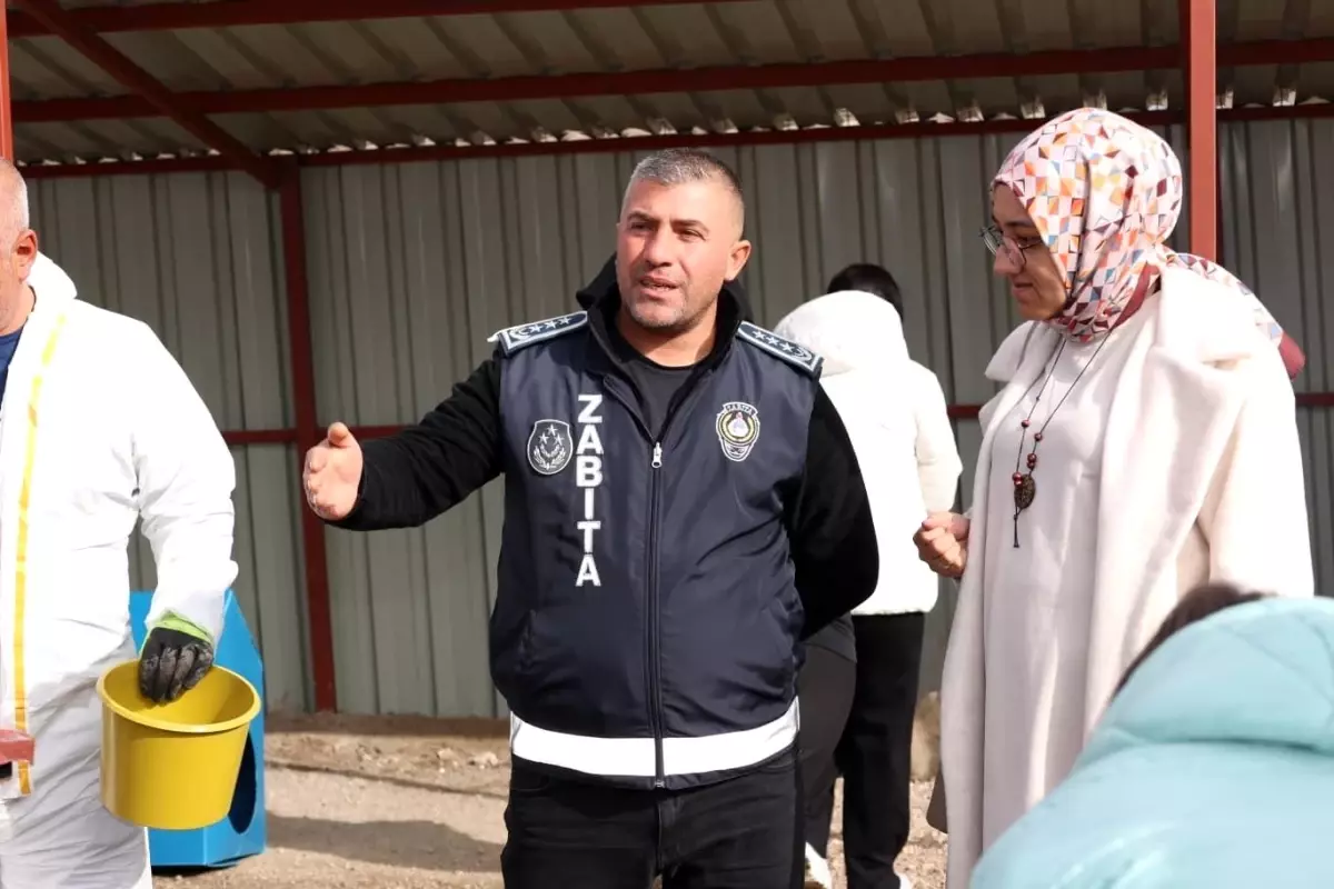 Bünyan\'da öğrencilerden sokak hayvanları için anlamlı etkinlik