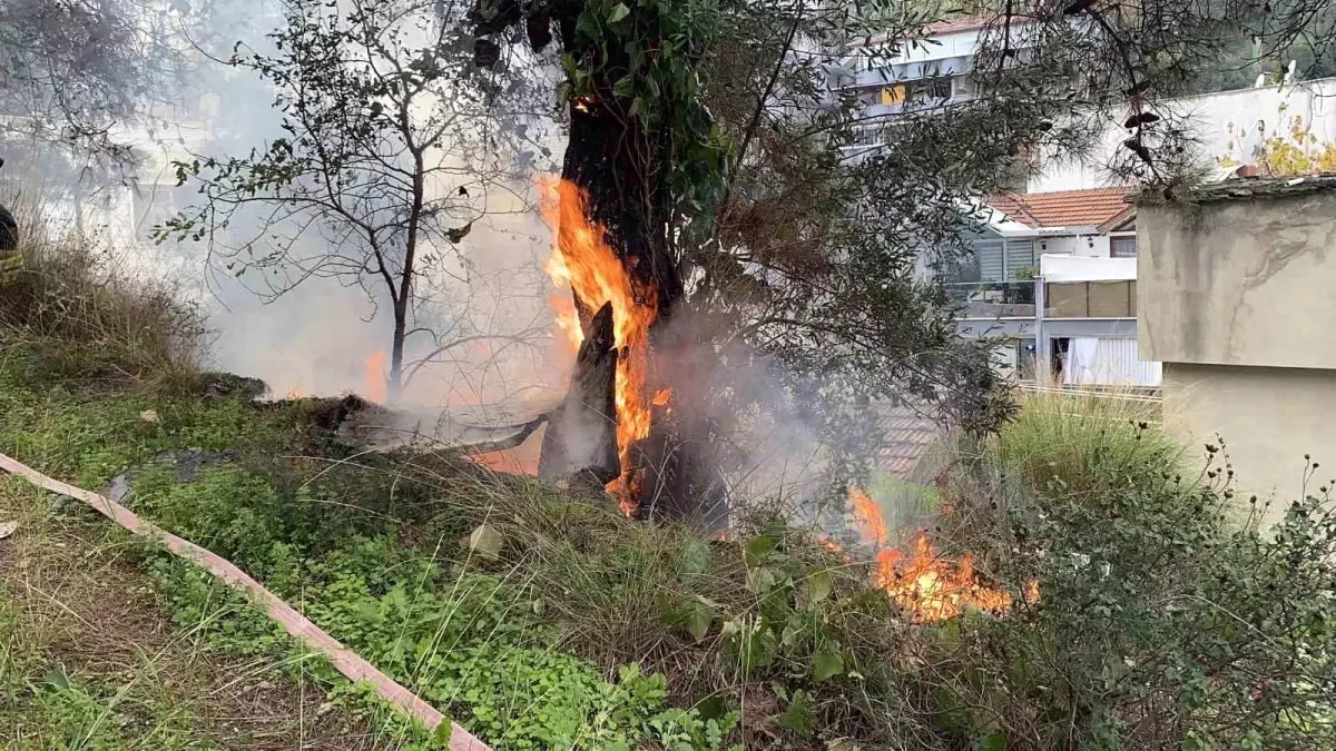 Mudanya\'da Yangın Kontrol Altında