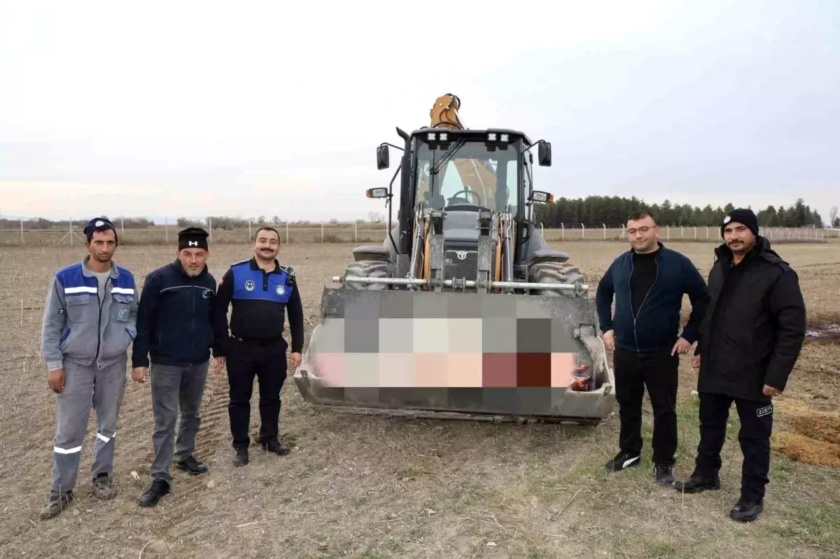 Çifteler\'de 215 kilogram kaçak at eti ele geçirildi