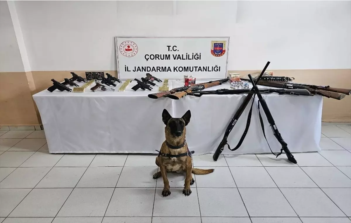 İskilip\'te Düğünlerde Havaya Ateş Açan 11 Kişi Yakalandı