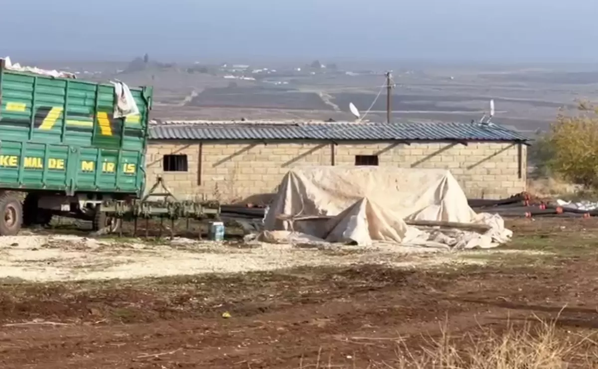 Bin çeyrek altına denk geliyor! Ahır görünümlü harabenin içine giren ekipler gördüklerine inanamadı