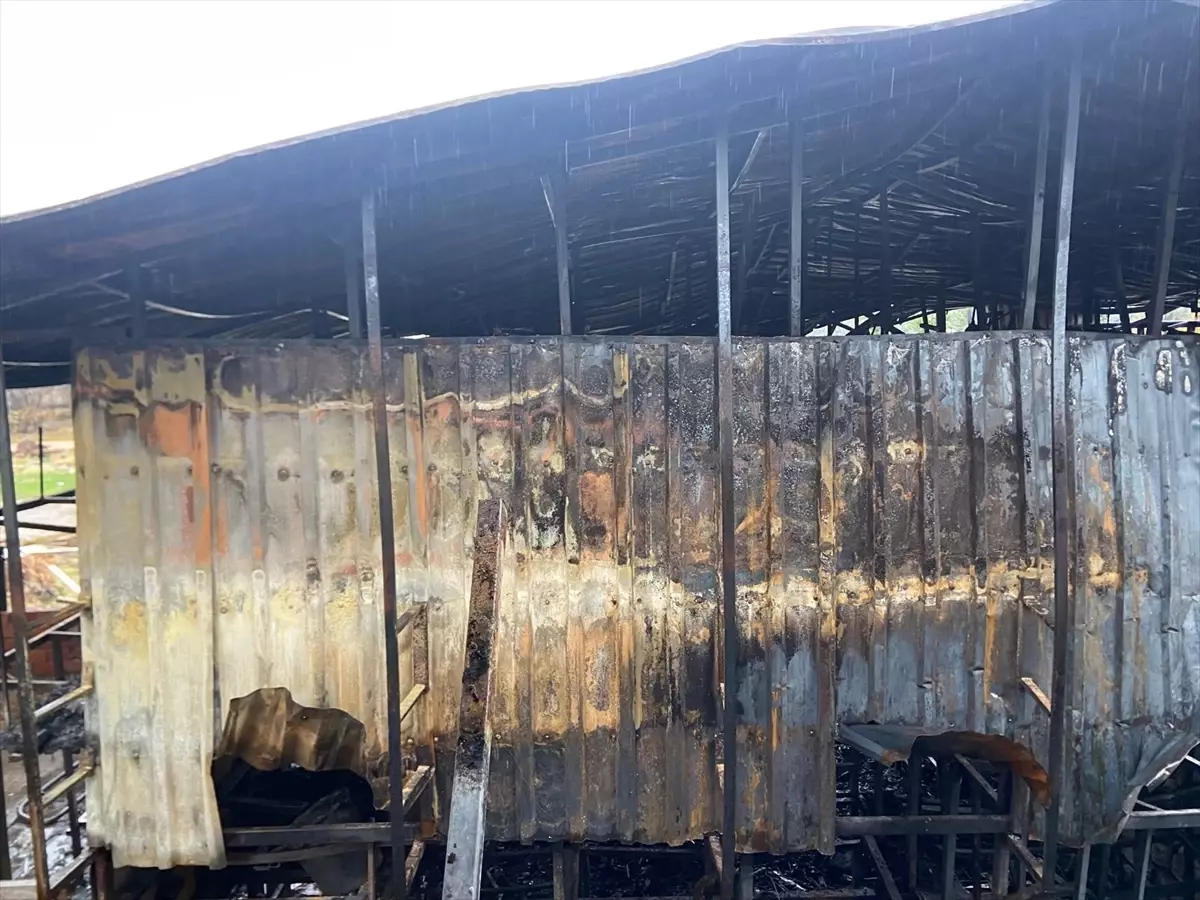 Dicle\'de Hırdavat Dükkanında Yangın