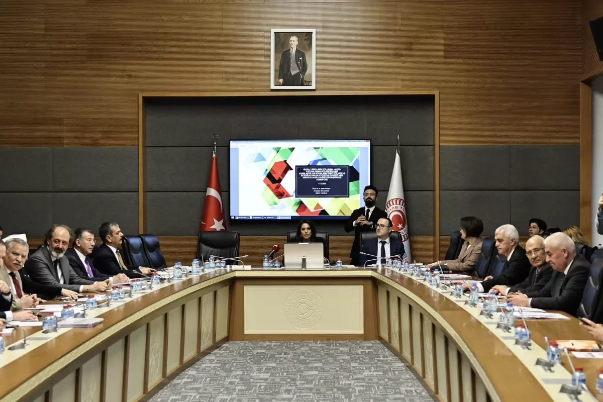 Engelli Bireylerin Sorunları TBMM\'de Ele Alındı