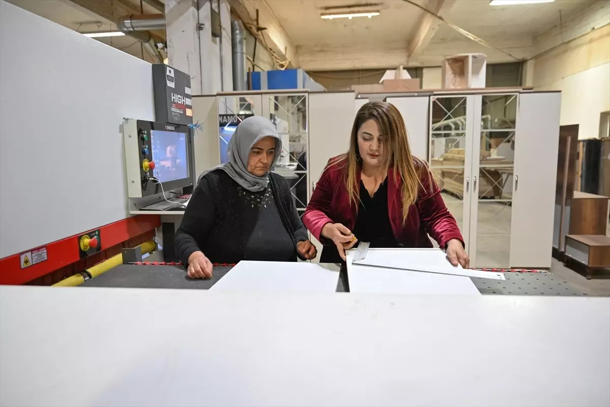 İflastan Başarıya: Ayşe Pınar Tümüklü\'nün Mobilya Hikayesi