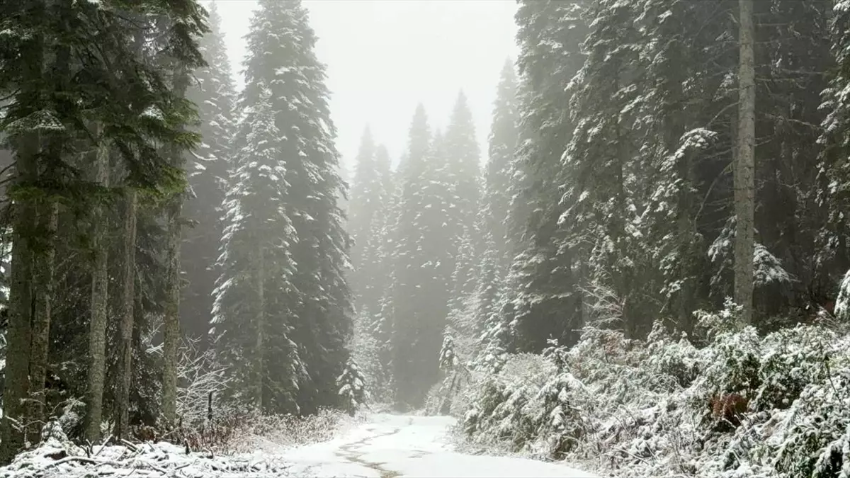 Karabük\'te Keltepe ve Sarıçiçek Yaylası\'na Kar Yağdı
