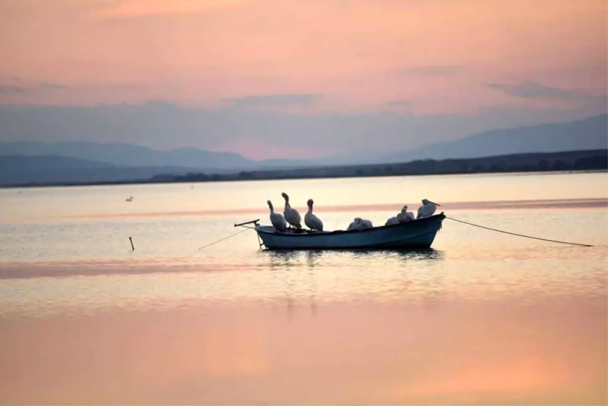 Karacabey\'de Çeltik Ekimi Yasaklandı