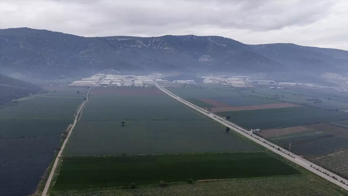 İzmir\'in Kışlık Sebze Üretiminde Artış