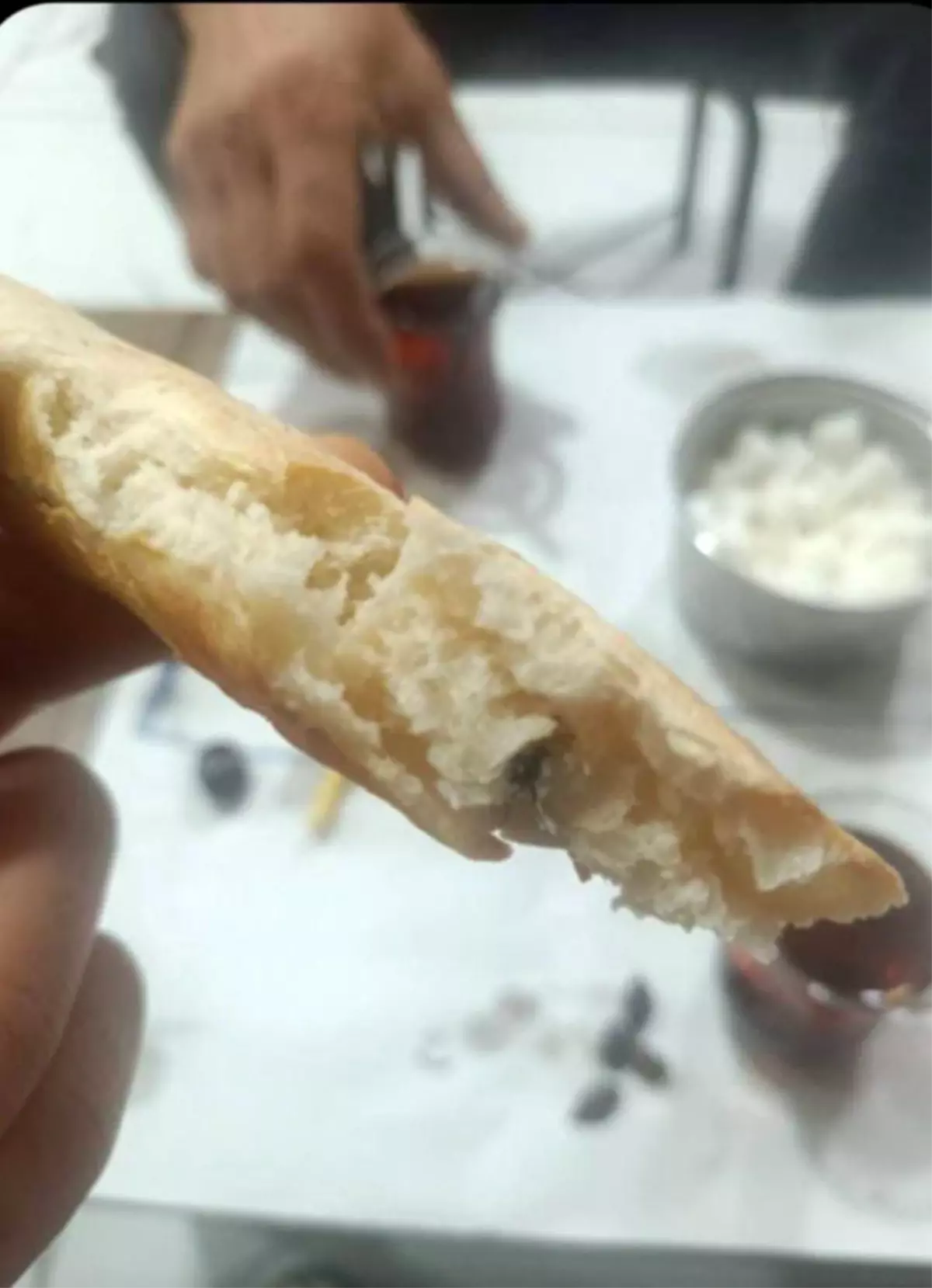 Kurtalan\'da Ekmekten Sinek Çıktı