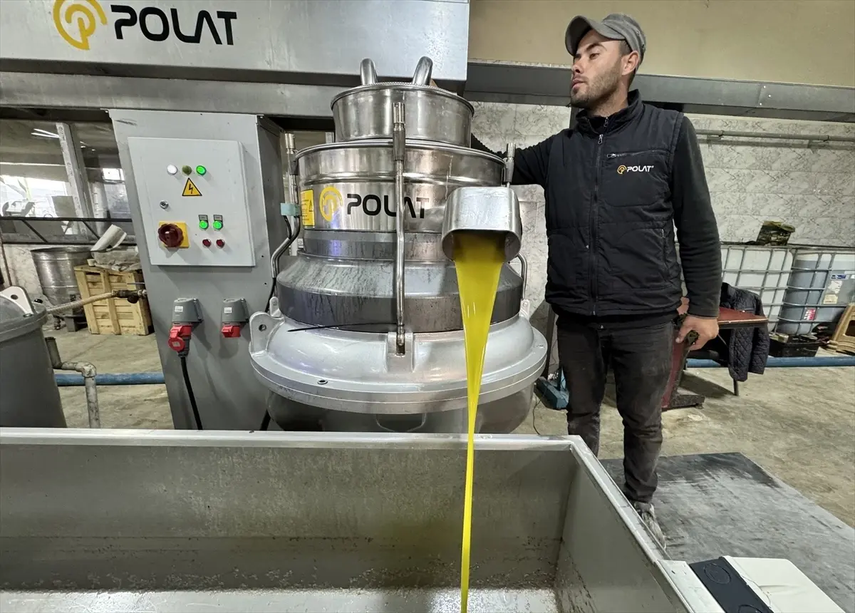 Muhtar fabrika kurup tüm mahalleyi işe aldı! Suudi Arabistan\'a bile ihraç ediyor