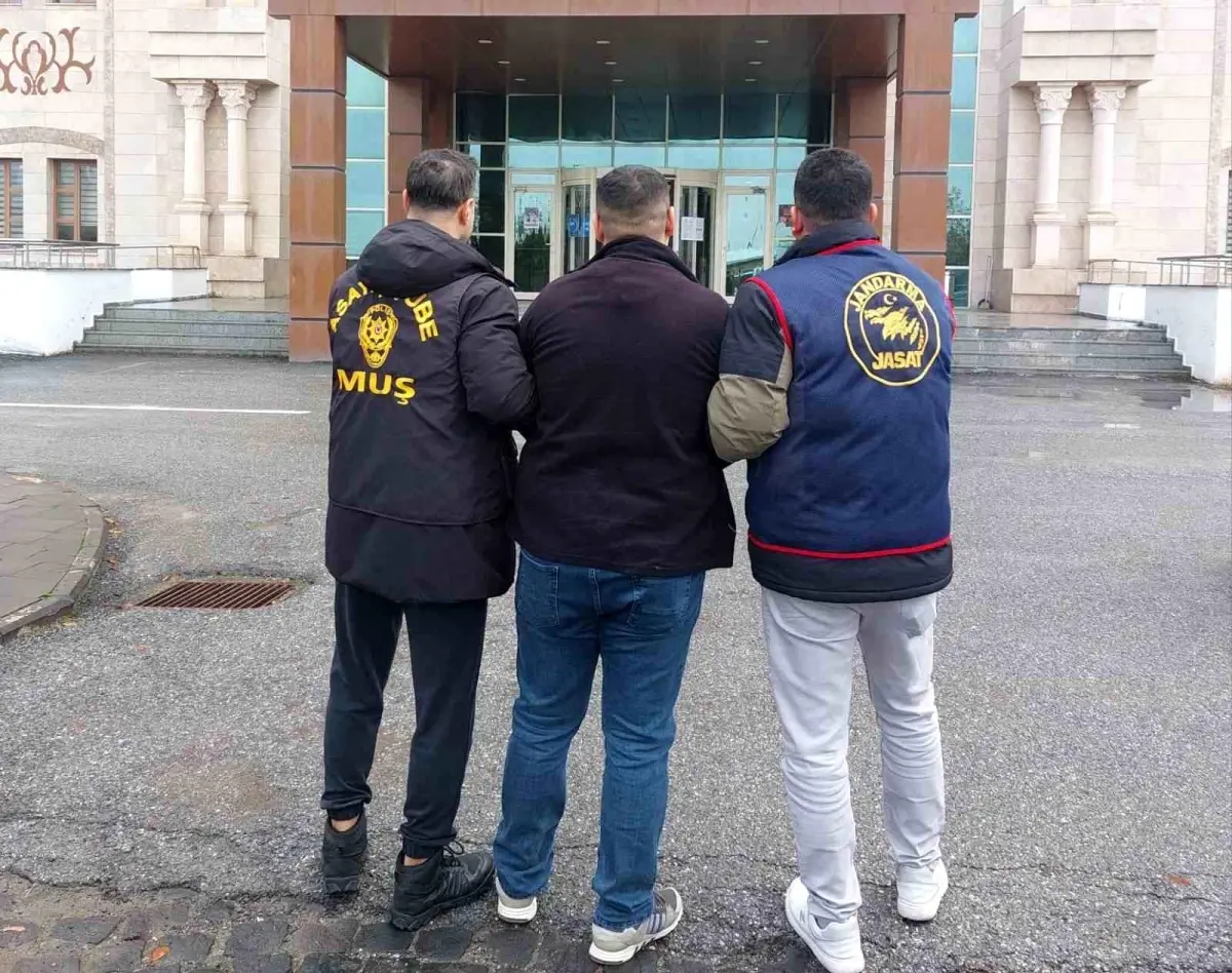 Muş\'ta Hırsızlık Hükümlüsü Yakalandı