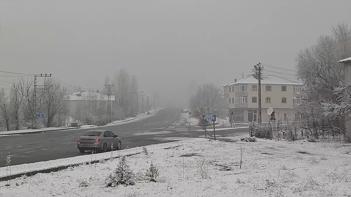 Varto\'da Kar Yağışı Etkili Oldu