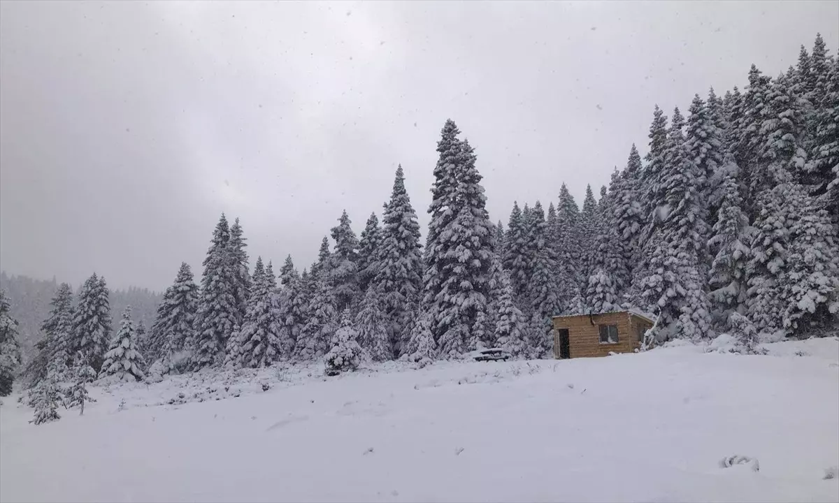 Türkeli\'de Kar Yağışı Etkili Oldu