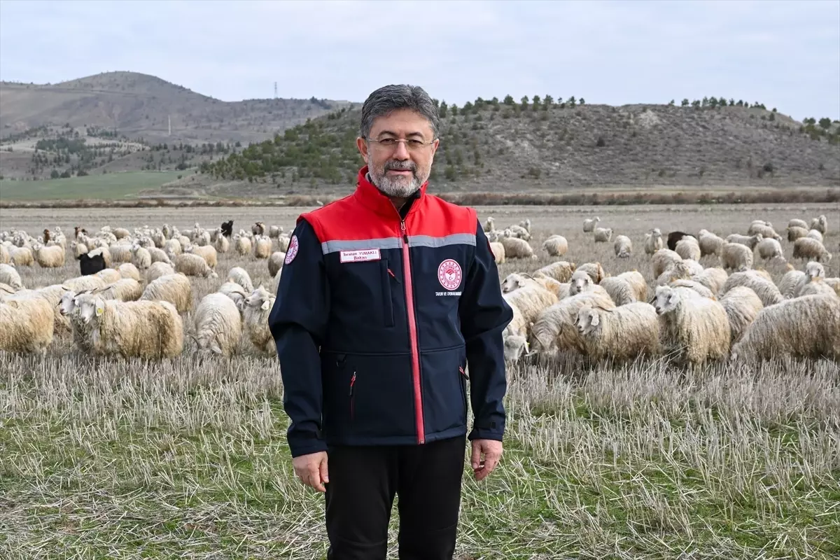 Tiftik Üretimi Ekonomiye Katkı Sağlayacak