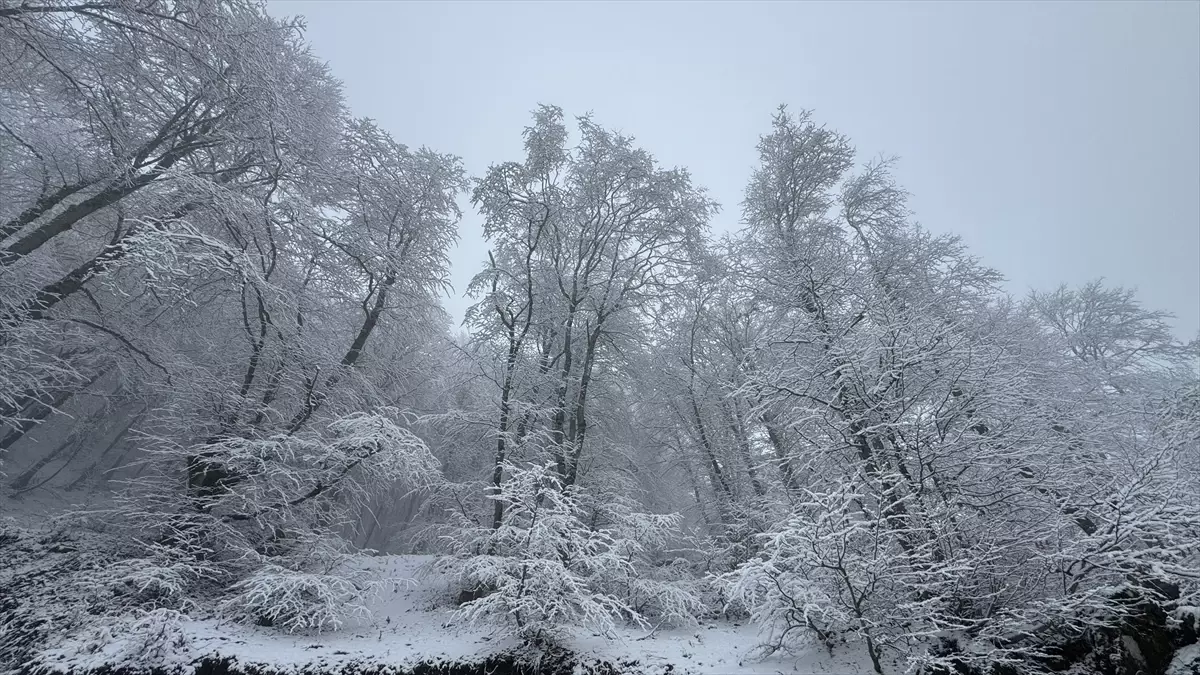 Tokat\'ta Kar Yağışı ve Sis Etkili
