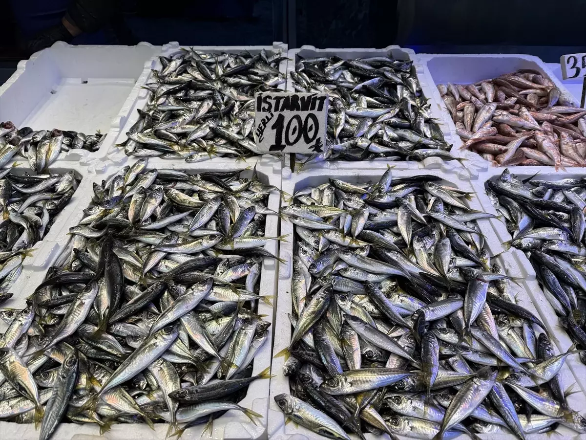 Trabzon\'da Hamsi 100 Lira