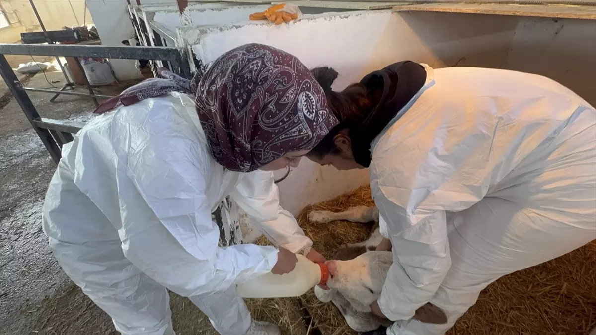 ISUBÜ Çiftliği: Eğitim ve Ekonomi Katkısı