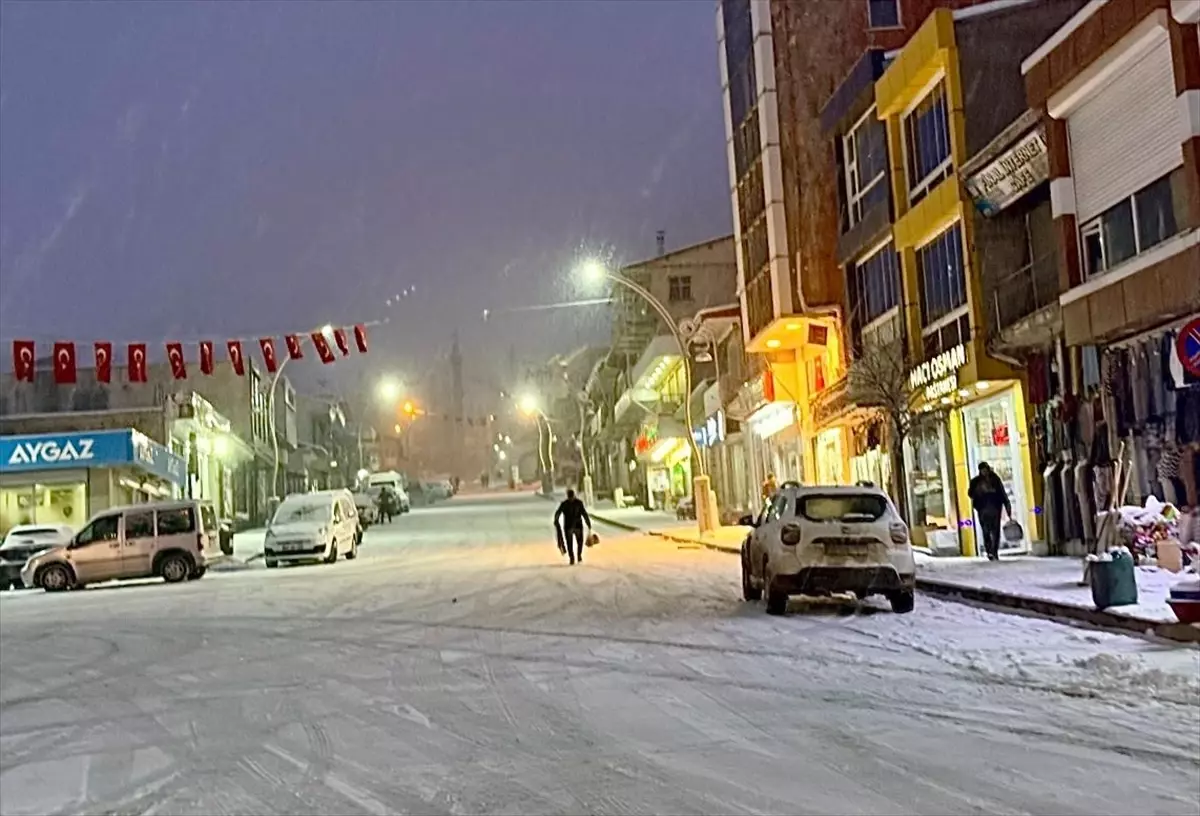 Van\'da Kar Yağışı Etkili Oldu