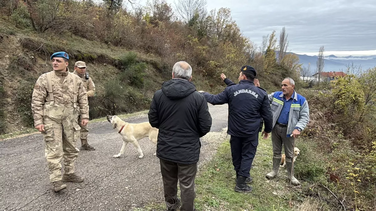 Defne yaprağı toplamak için ormana giden Zehra Teyze sırra kadem bastı